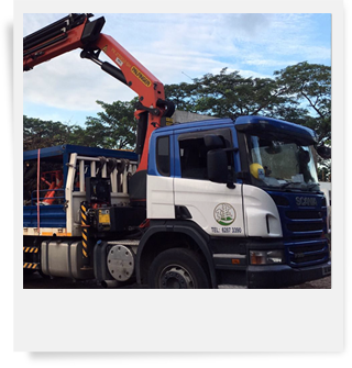 Lorry Cane Rental